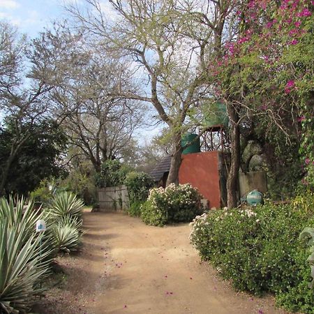Amanzimlotzi Riverside Bush Camp フッドスプルイト エクステリア 写真