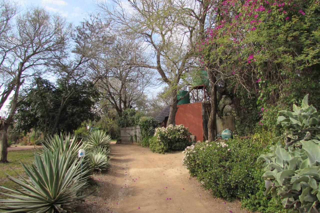 Amanzimlotzi Riverside Bush Camp フッドスプルイト エクステリア 写真