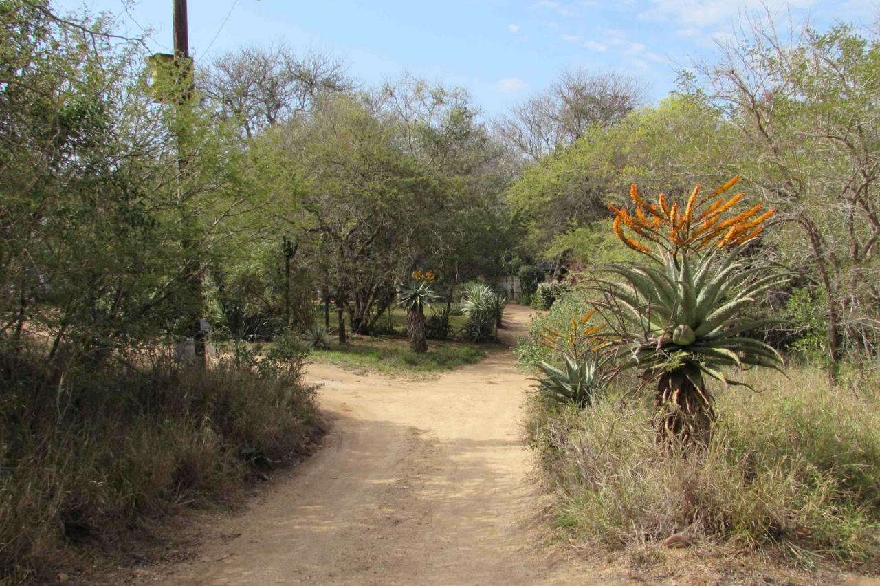 Amanzimlotzi Riverside Bush Camp フッドスプルイト エクステリア 写真