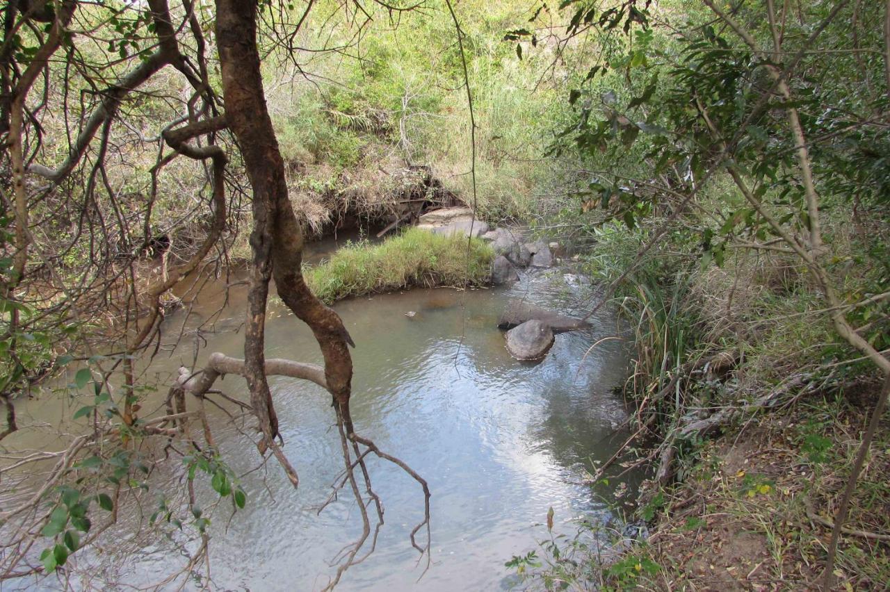 Amanzimlotzi Riverside Bush Camp フッドスプルイト エクステリア 写真