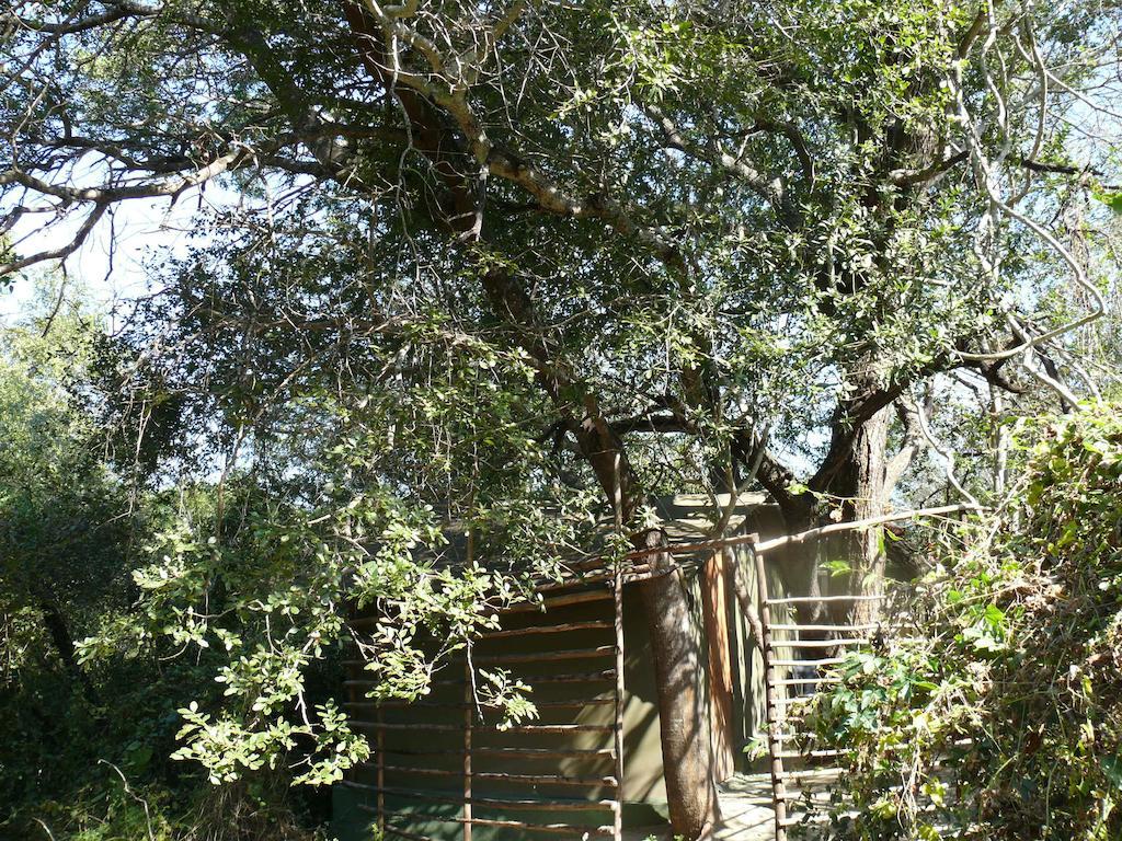Amanzimlotzi Riverside Bush Camp フッドスプルイト 部屋 写真