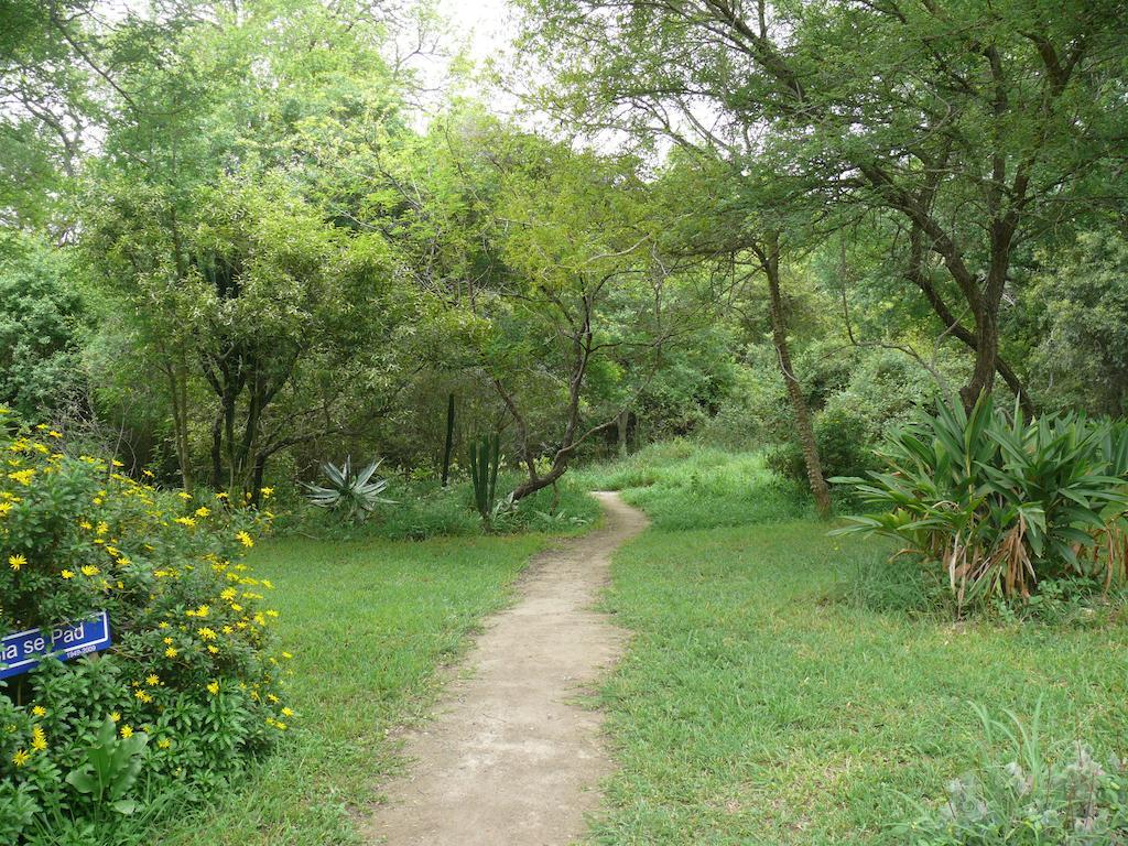 Amanzimlotzi Riverside Bush Camp フッドスプルイト 部屋 写真