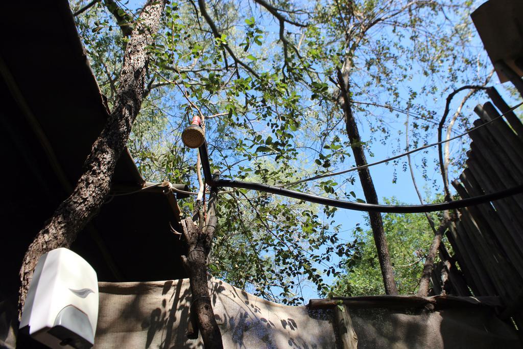 Amanzimlotzi Riverside Bush Camp フッドスプルイト エクステリア 写真