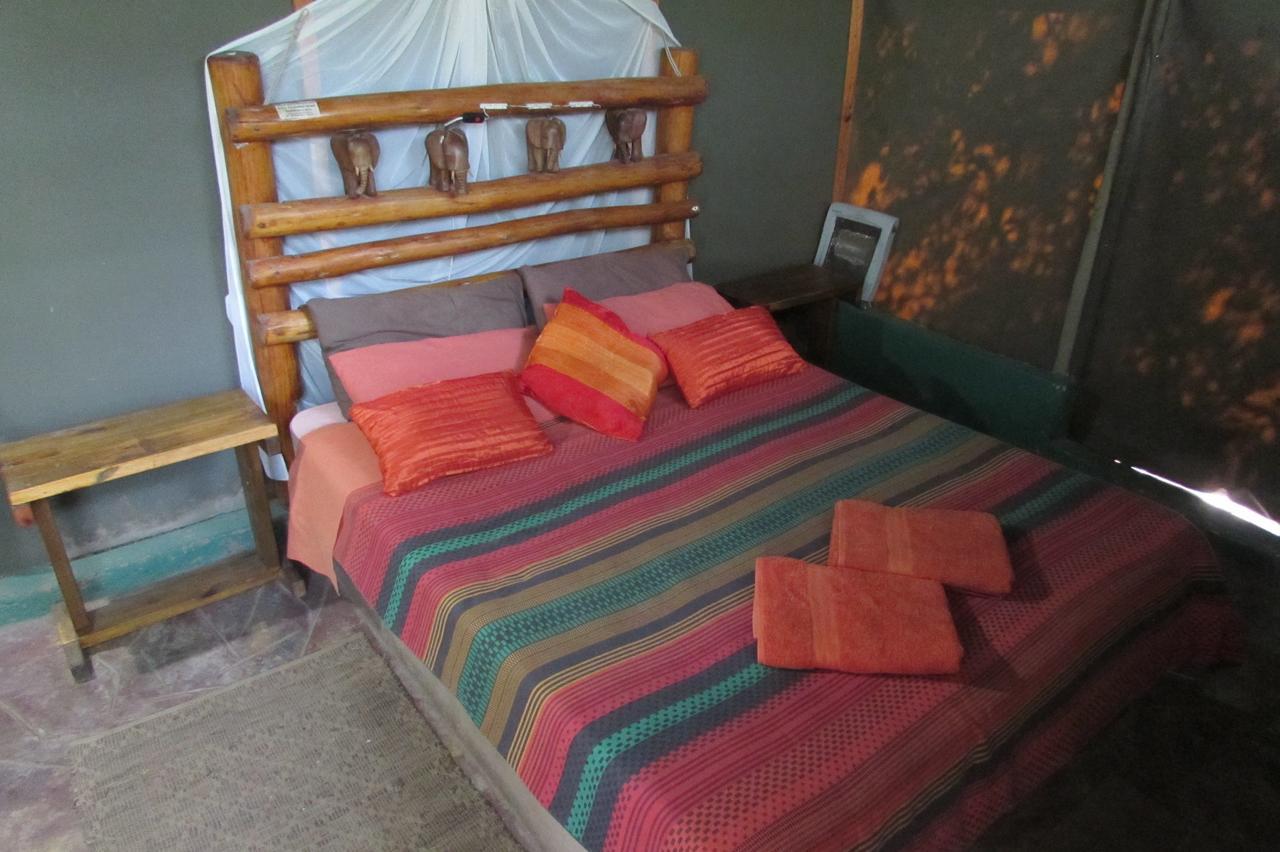 Amanzimlotzi Riverside Bush Camp フッドスプルイト エクステリア 写真