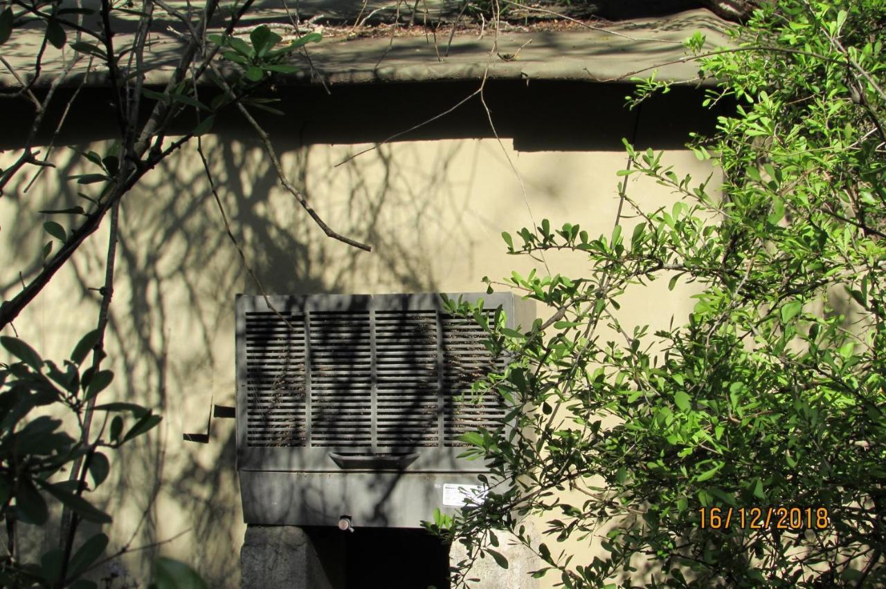 Amanzimlotzi Riverside Bush Camp フッドスプルイト エクステリア 写真