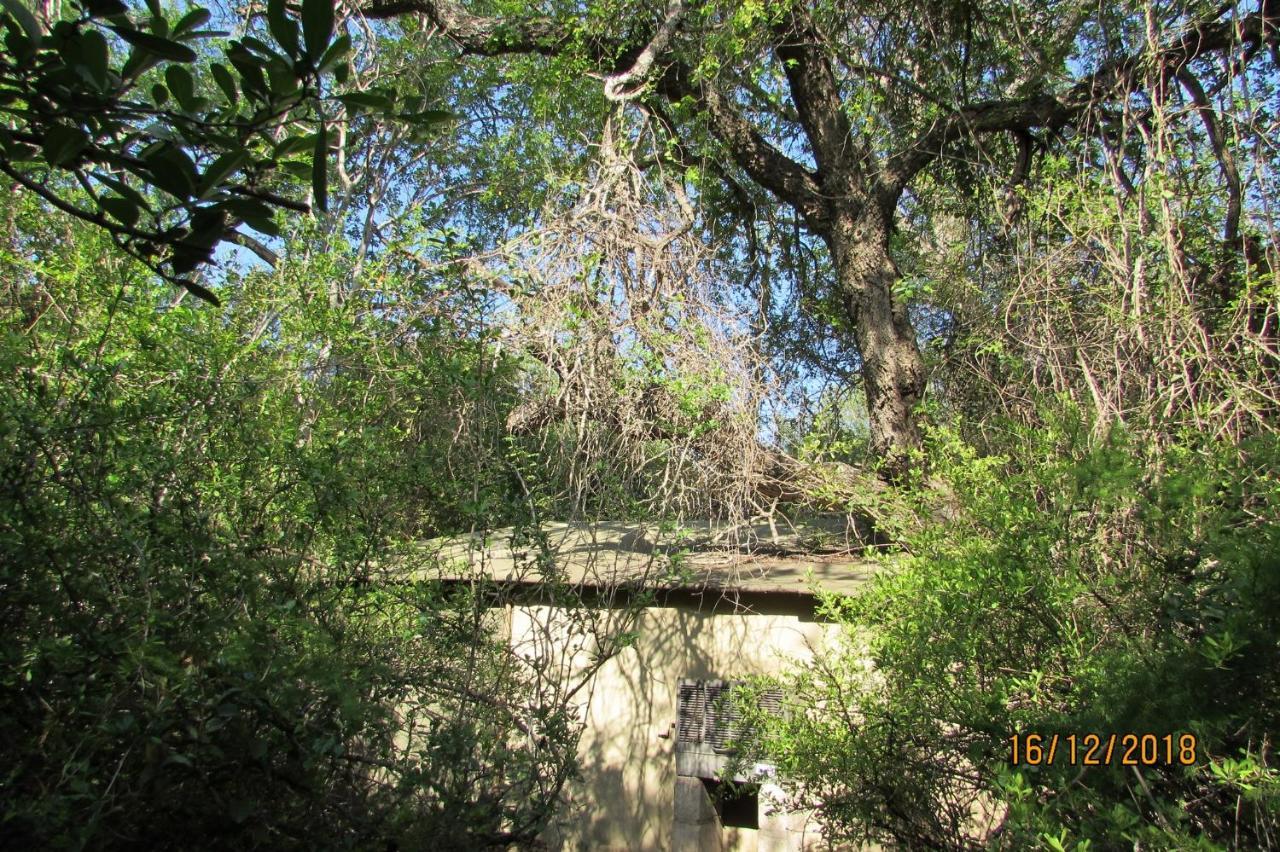 Amanzimlotzi Riverside Bush Camp フッドスプルイト エクステリア 写真