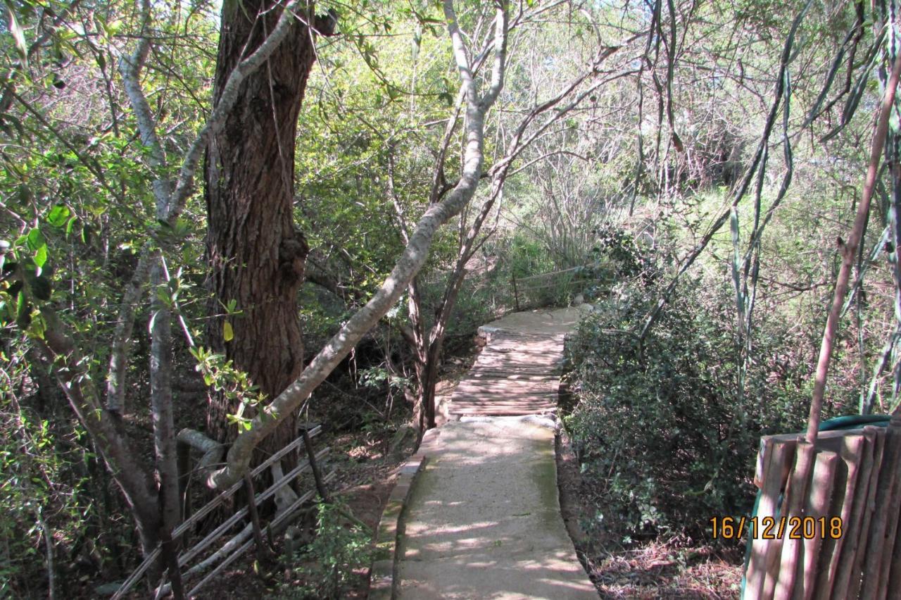 Amanzimlotzi Riverside Bush Camp フッドスプルイト エクステリア 写真