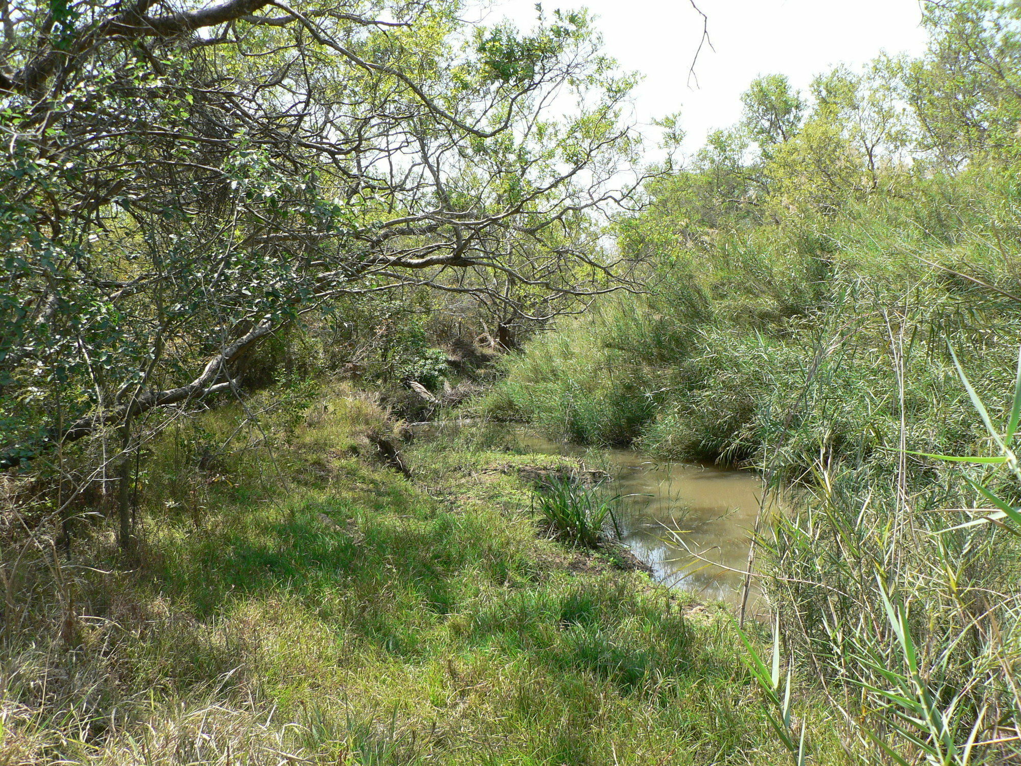 Amanzimlotzi Riverside Bush Camp フッドスプルイト エクステリア 写真