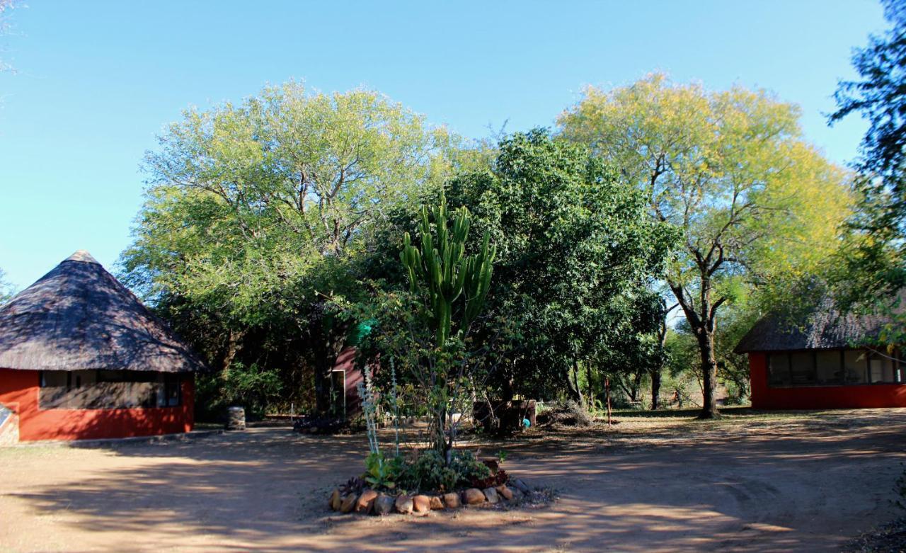 Amanzimlotzi Riverside Bush Camp フッドスプルイト エクステリア 写真
